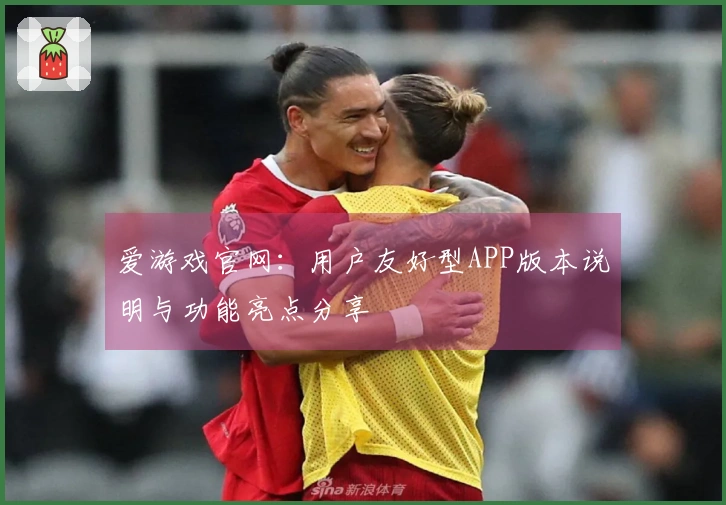 爱游戏官网：用户友好型APP版本说明与功能亮点分享